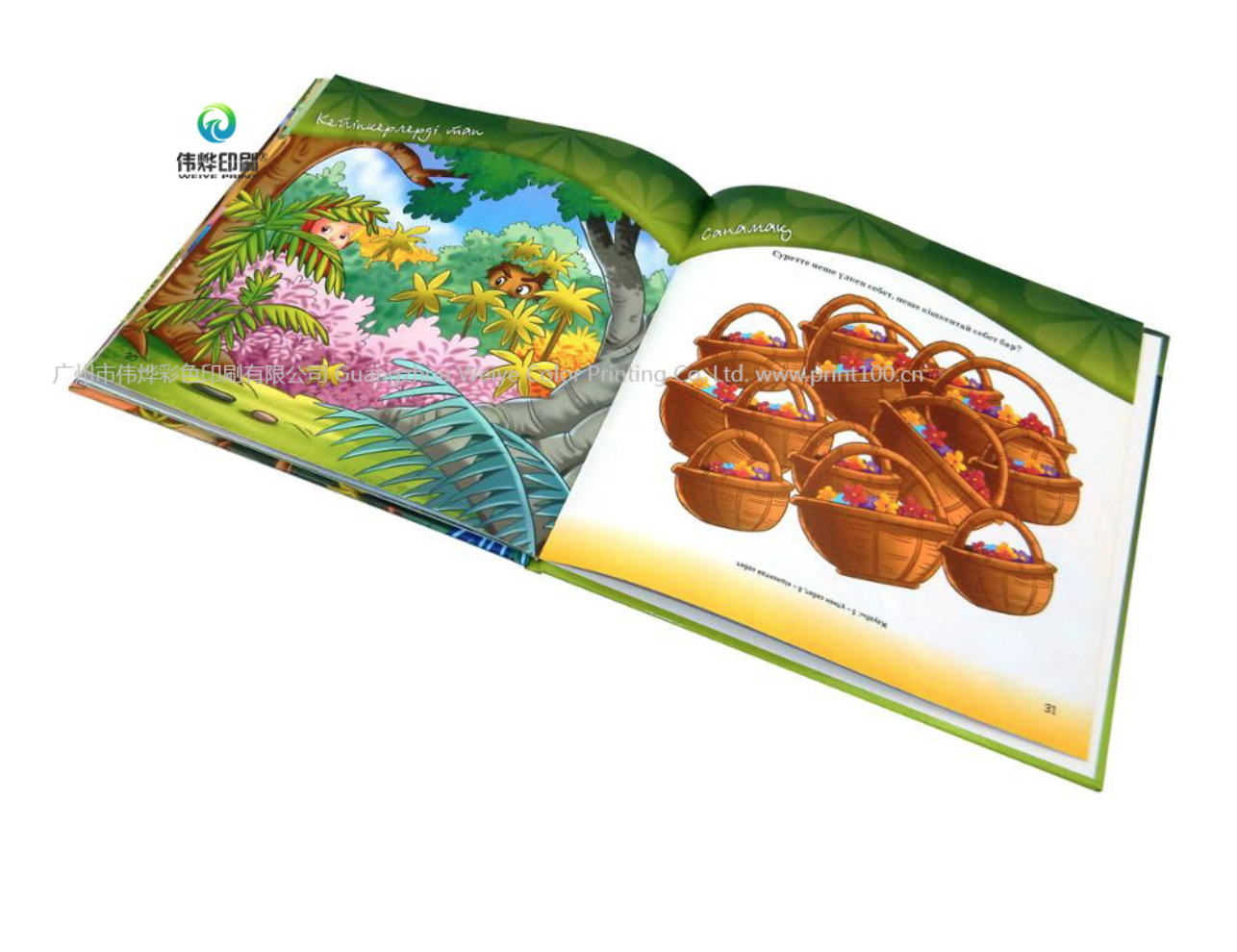 Soft Cover Fairy Tale Book