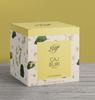 Organic Skincare Packaging Art Paper Box