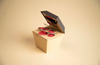 Organ Shape Folding Paper Box for Tea Pack Packaging