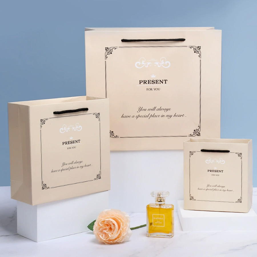 Custom Printed Packaging Bags for Garments and Shoes
