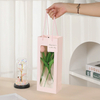 Personalized Paper Bags for Gifts with Transparent PVC Panel