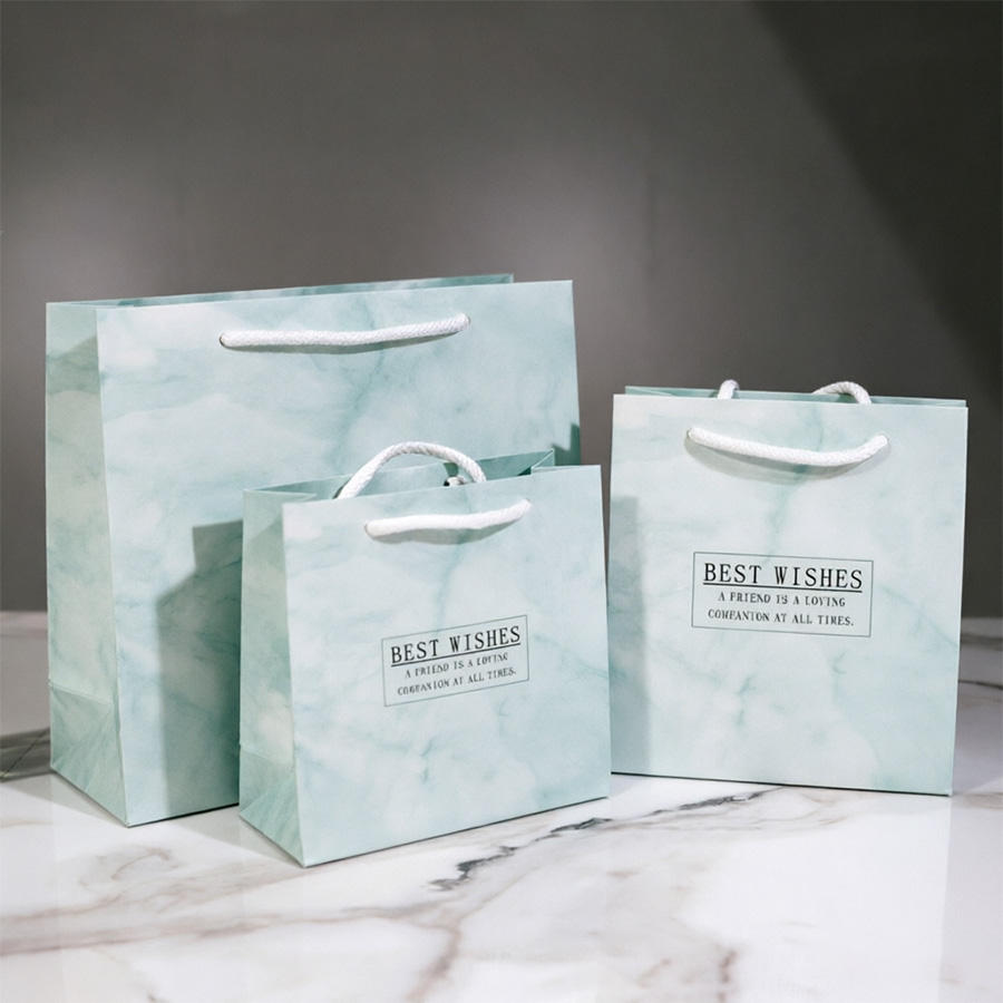 Eco-Friendly Middle Printing Paper Bags for Gift Giving
