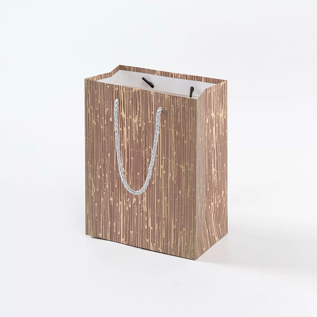 Eco-Friendly Rectangle Paper Bags with Personalized Logo Designs