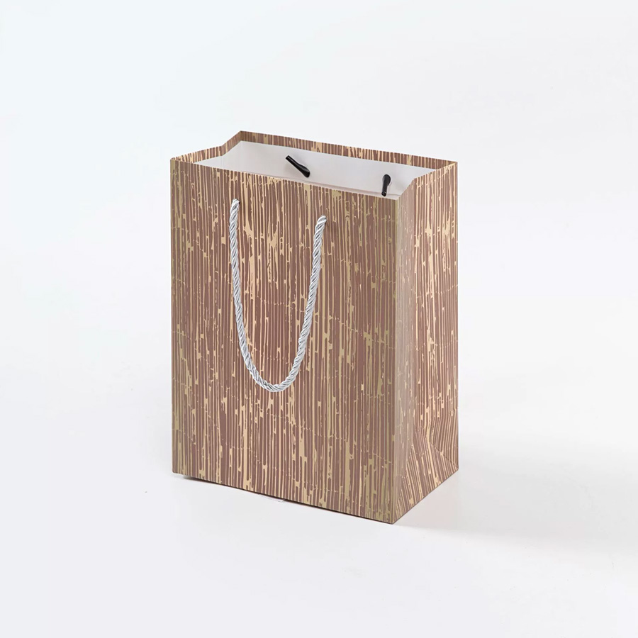 Eco-Friendly Rectangle Paper Bags with Personalized Logo Designs