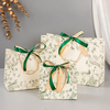 Vibrant CMYK Printed Paper Gift Bags for Professional Branding