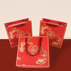 Stylish Art Paper Bags for Garment and Footwear Packaging