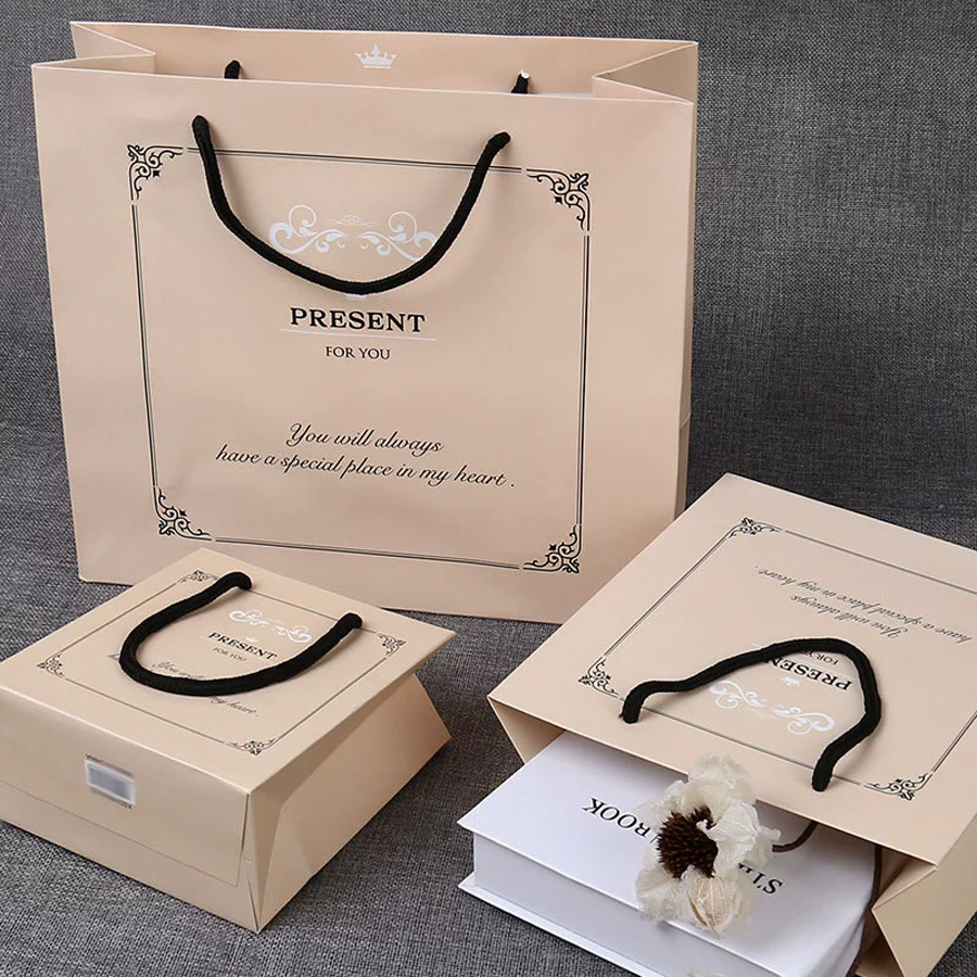 Custom Printed Packaging Bags for Garments and Shoes