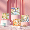 Elegant Jewelry Carrier Art Paper Bag for Printing