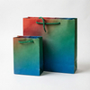 Stylish Printed Paper Bags with Custom Logo for Branding