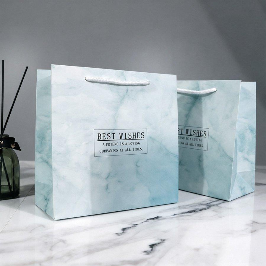 Eco-Friendly Middle Printing Paper Bags for Gift Giving