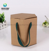Special Shape Eco-friendly Kraft Paper Packaging Box