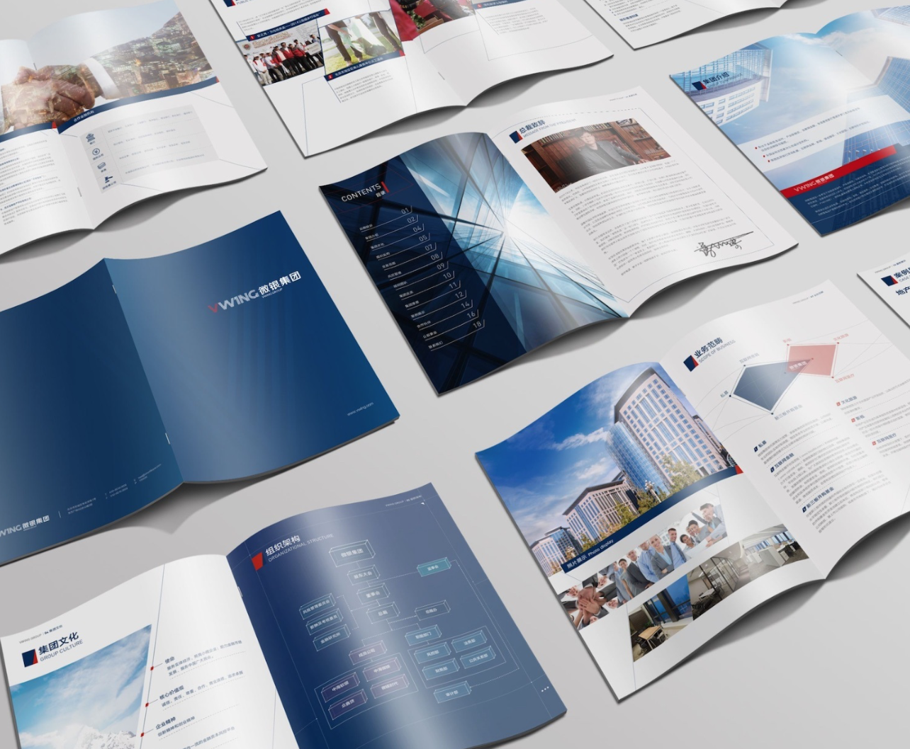 Flyer / Brochure / Magazine for Promotion