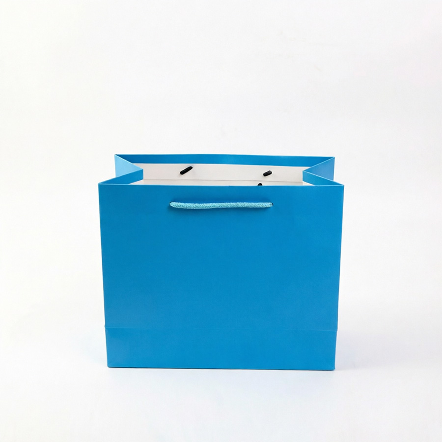 High-Quality Art Paper Bags with Custom Printing for Gifts