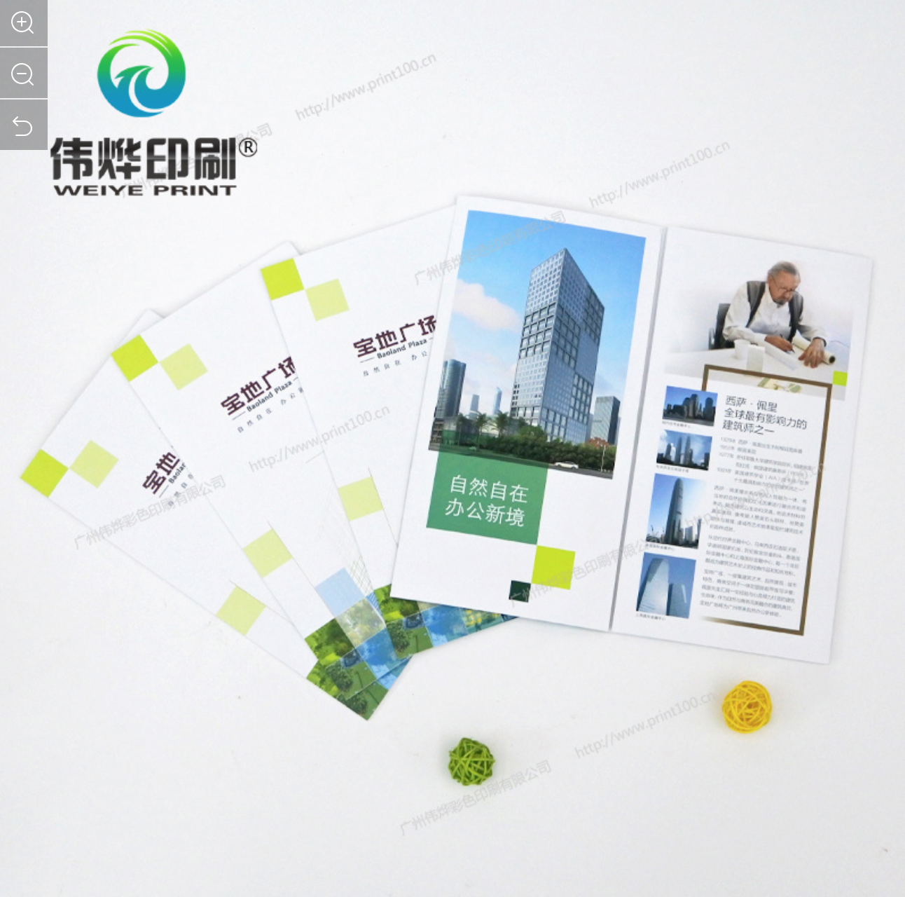 Flyer / Brochure / Folder for Promotion