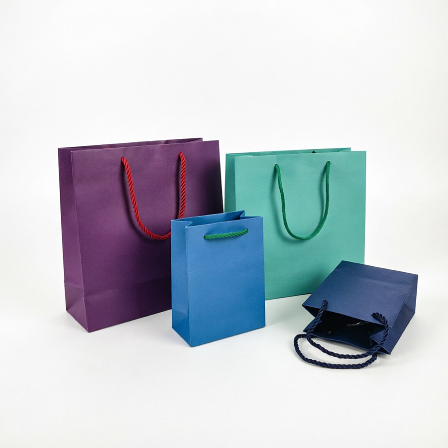 Stylish Printed Paper Bags with Custom Logo for Branding