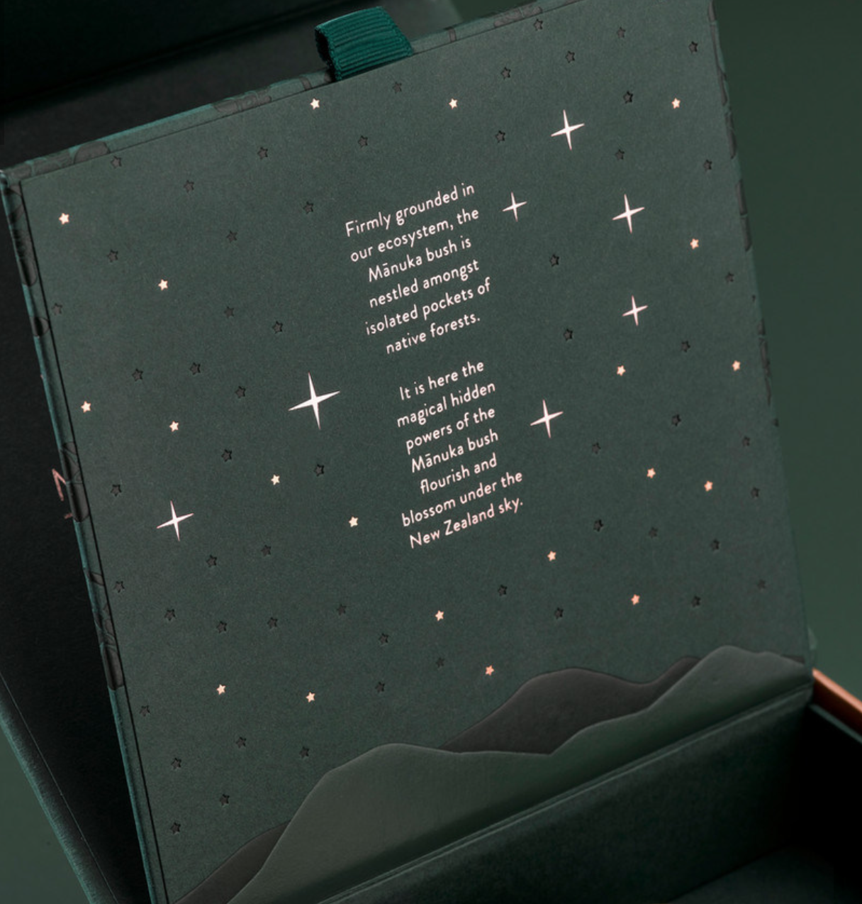 Dark Green Magnet Folding Box for Food Packaging