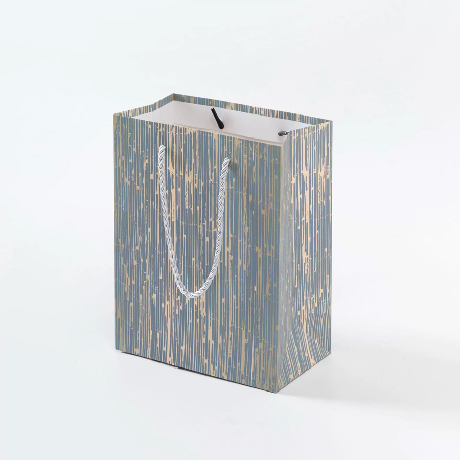 Eco-Friendly Rectangle Paper Bags with Personalized Logo Designs