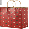 Christmas Desgin Paper Gift Bag with Twist Handle