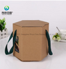 Special Shape Eco-friendly Kraft Paper Packaging Box
