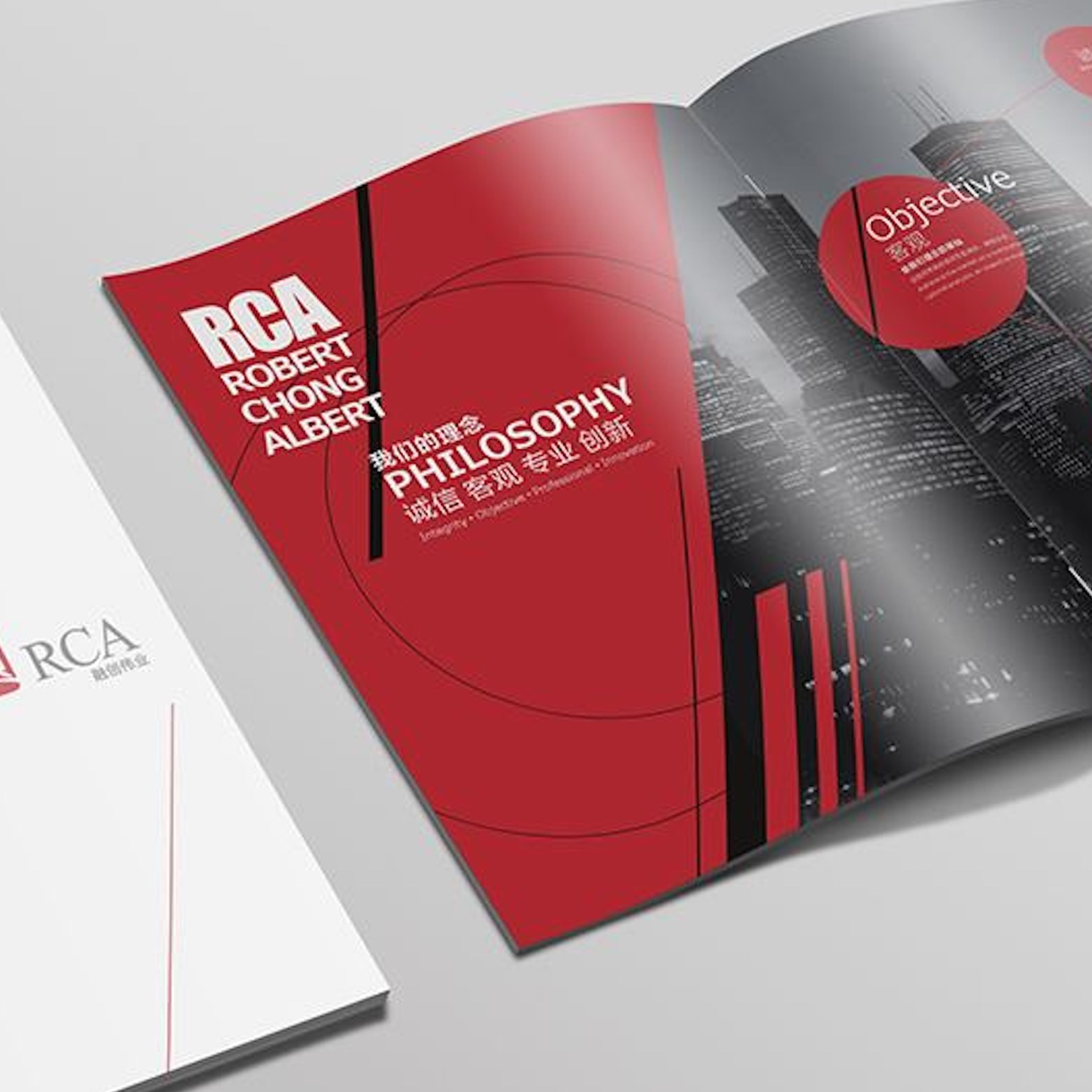 Flyer / Brochure / Magazine for Promotion