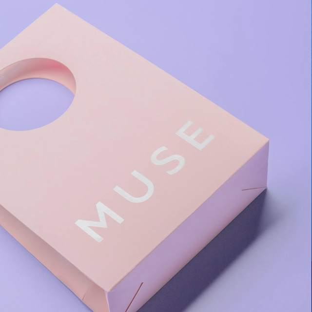 Round Hole Pink Paper Gift Bag