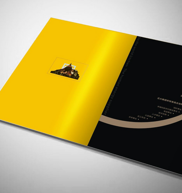 Product Catalogue and Company Introduction Book