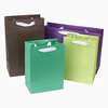 Personalized Printed Paper Bags for Retail and Gift Packaging