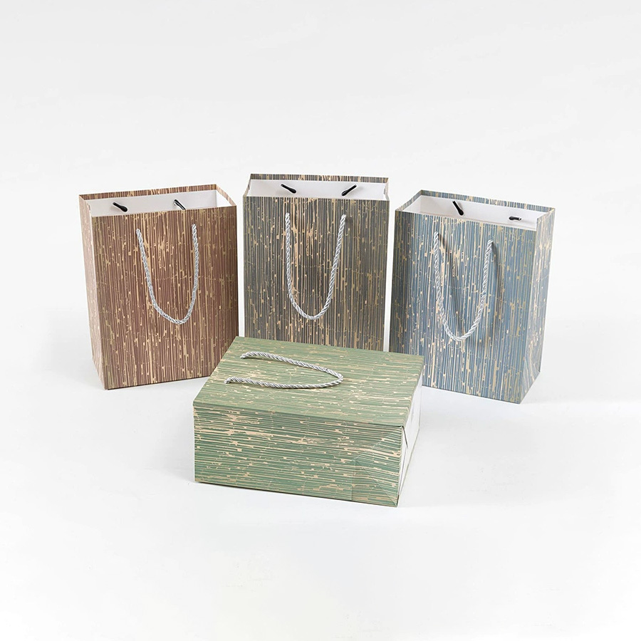Eco-Friendly Rectangle Paper Bags with Personalized Logo Designs