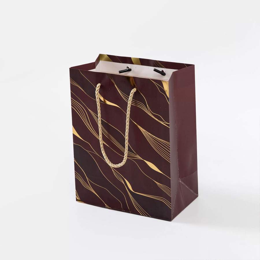 Stylish Middle Pack Art Paper Bags with Custom Logo Design