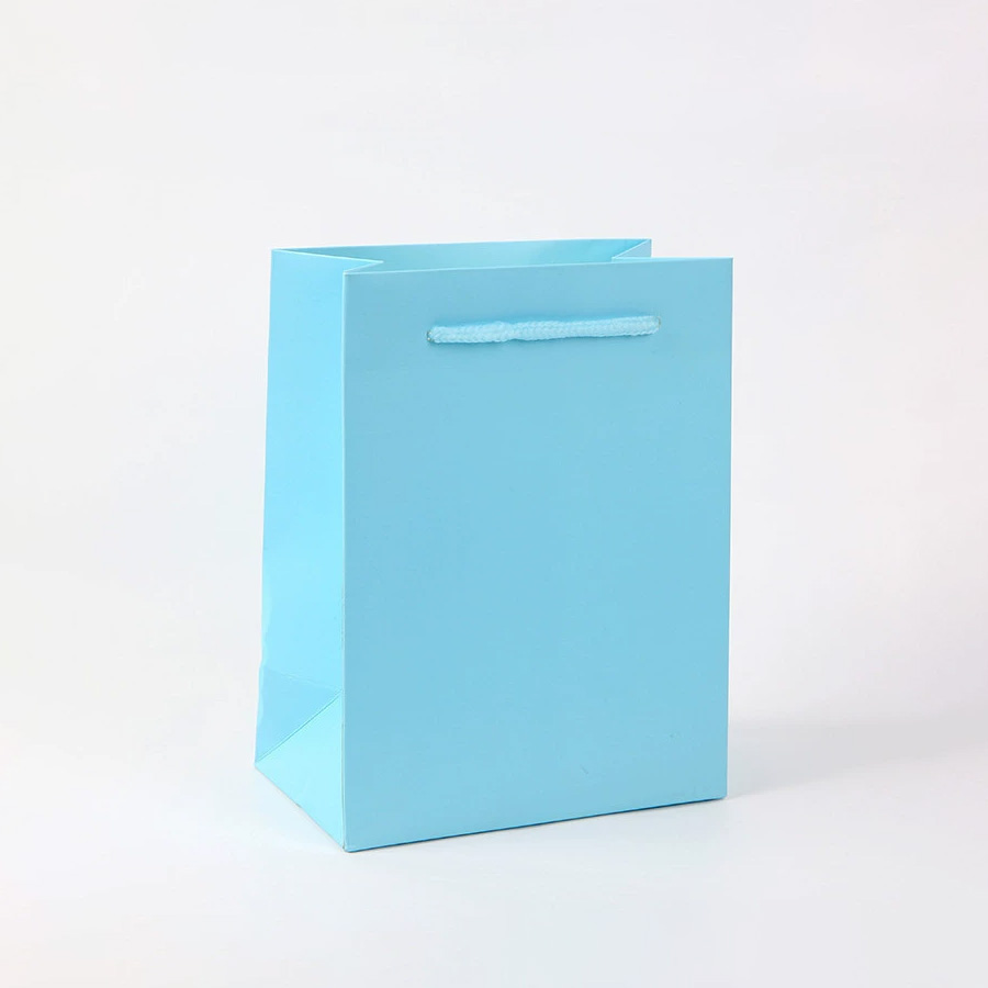 Stylish Hot Stamping Printed Paper Bags for Eco-Friendly Shopping
