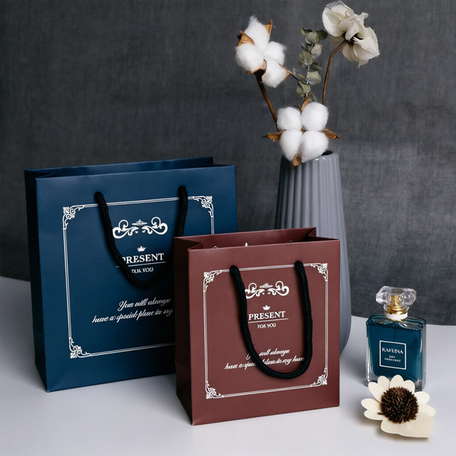 Custom Printed Packaging Bags for Garments and Shoes