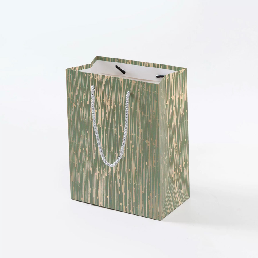 Eco-Friendly Rectangle Paper Bags with Personalized Logo Designs