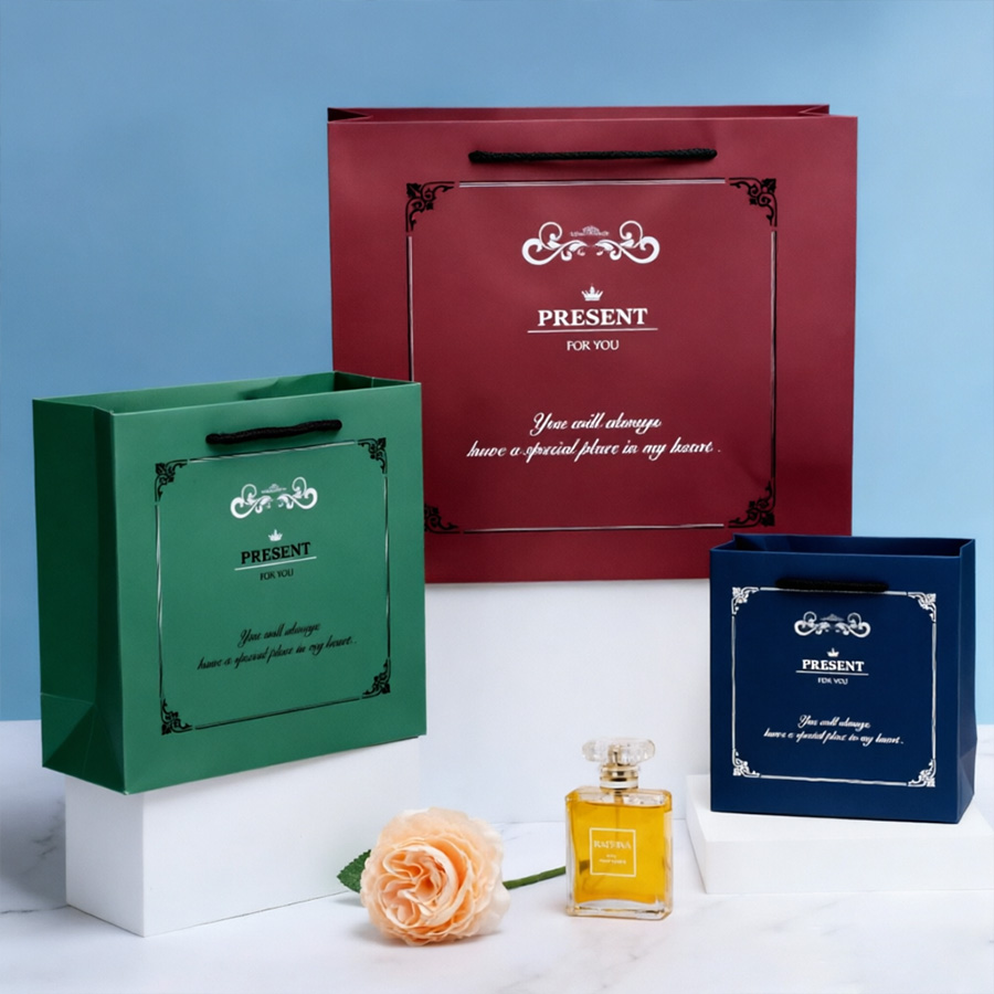 Custom Printed Packaging Bags for Garments and Shoes