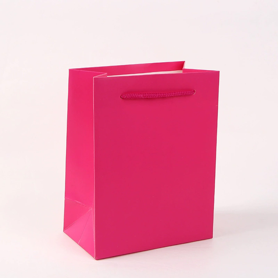 Stylish Hot Stamping Printed Paper Bags for Eco-Friendly Shopping
