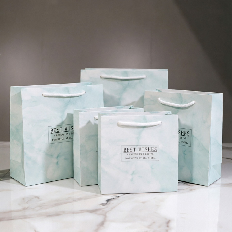 Eco-Friendly Middle Printing Paper Bags for Gift Giving
